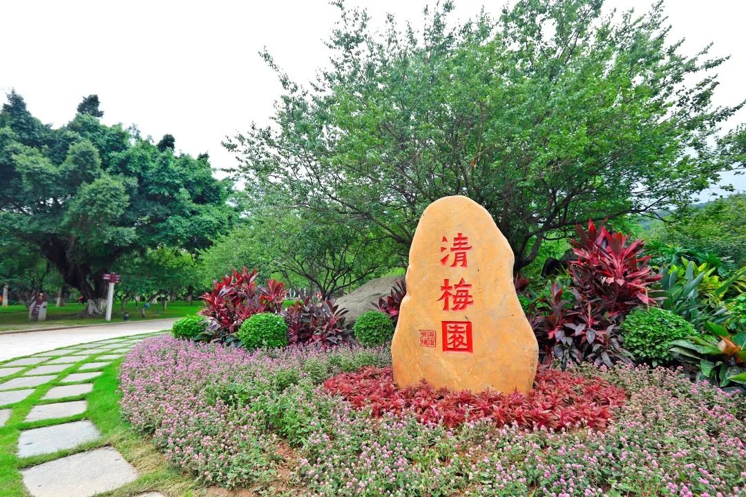 微信圖片_20210702093536.jpg 微信圖片_20210702093536.jpg