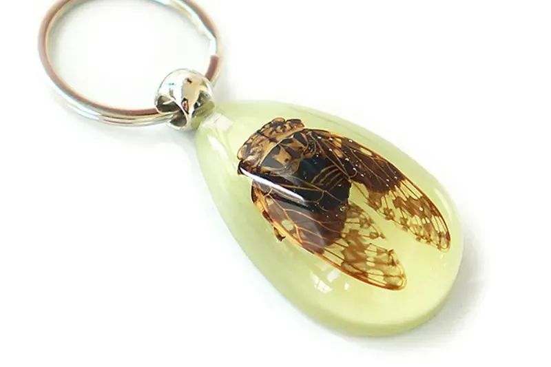 微信圖片_20210707111658.jpg 微信圖片_20210707111658.jpg